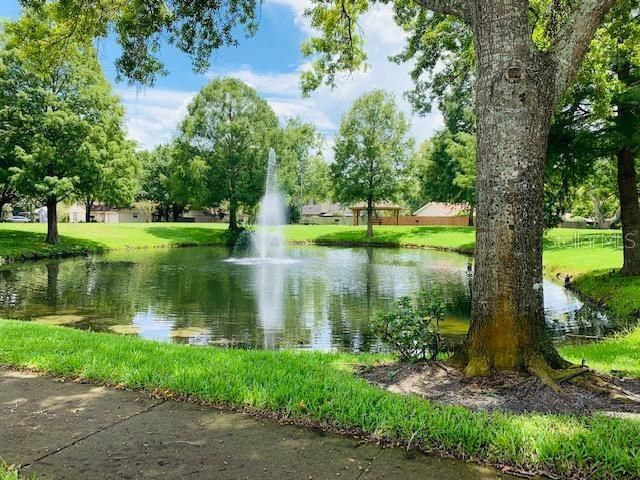 community pond