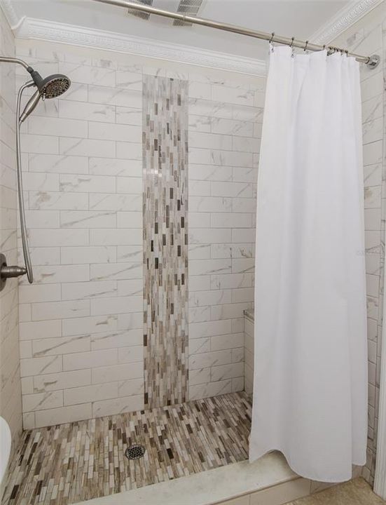 Master Bath Shower