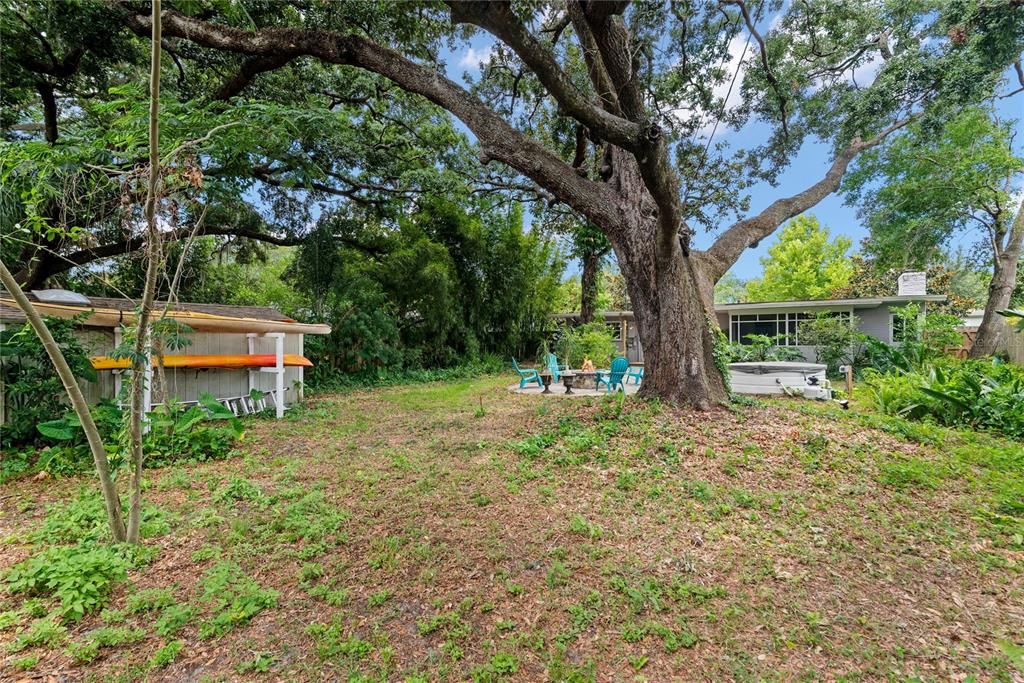 Large backyard. Yard is 75 feet wide, big enough and zoned for the addition of an ADU.