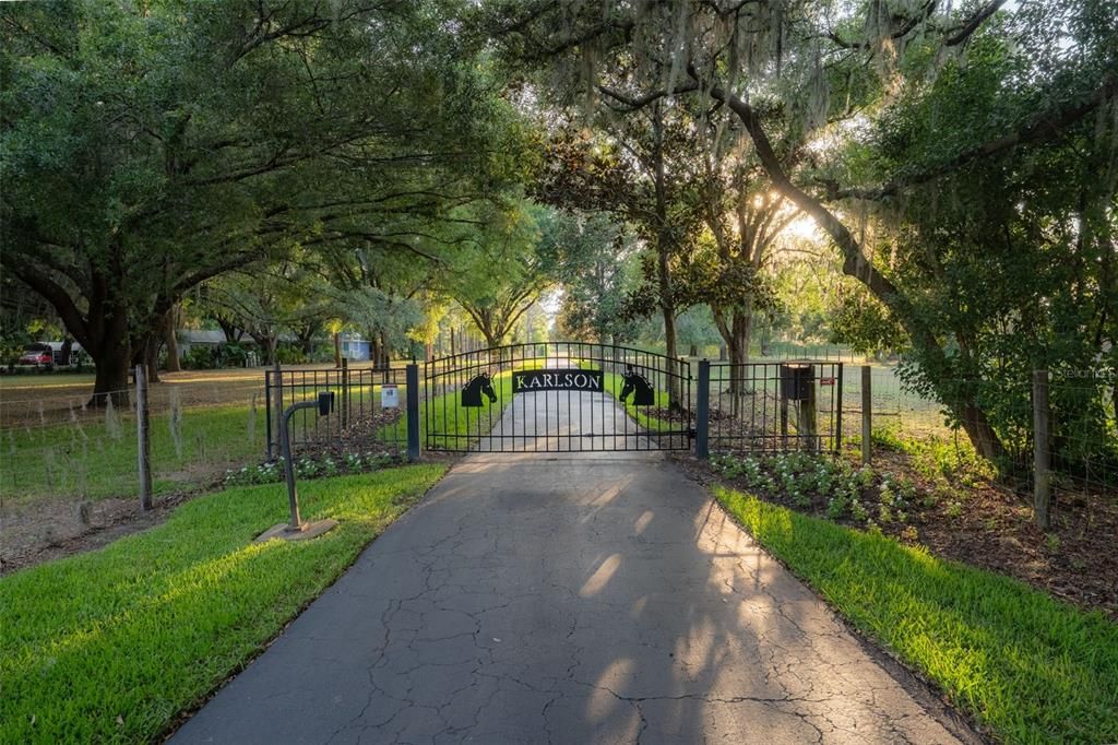 Stunning Long driveway!