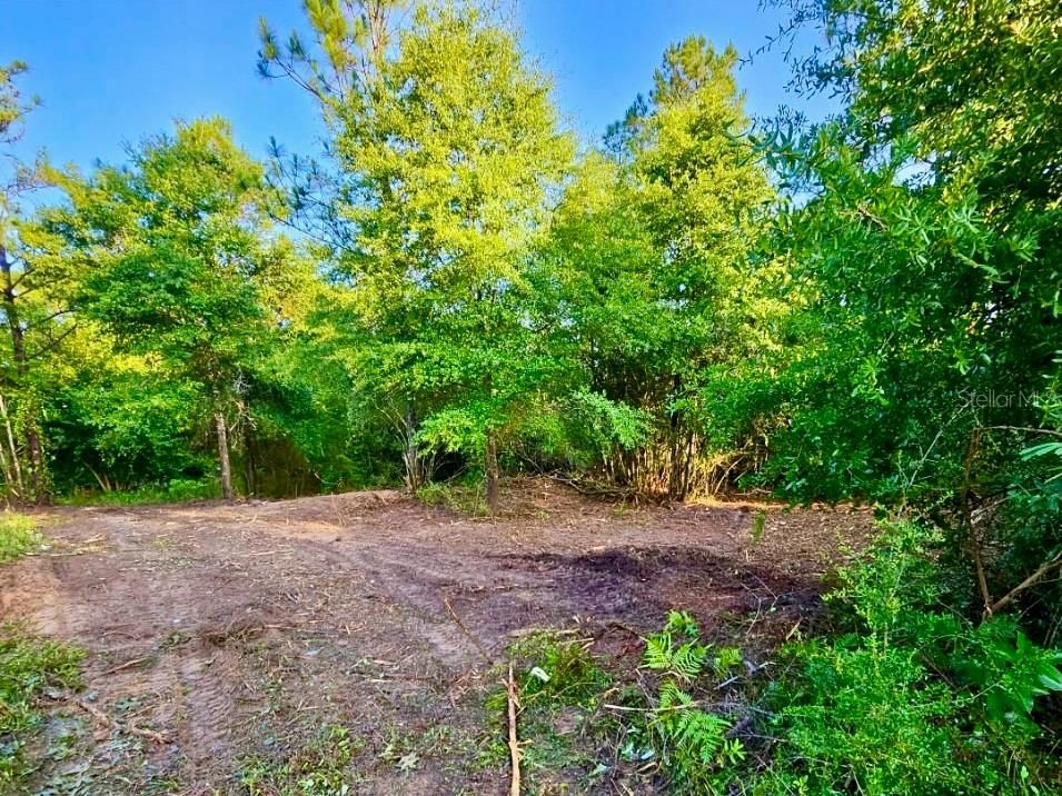 待售: $38,000 (0.94 acres)