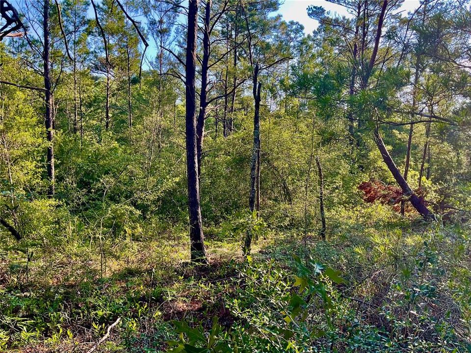 En Venta: $60,000 (0.94 acres)