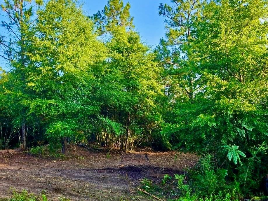 待售: $38,000 (0.94 acres)