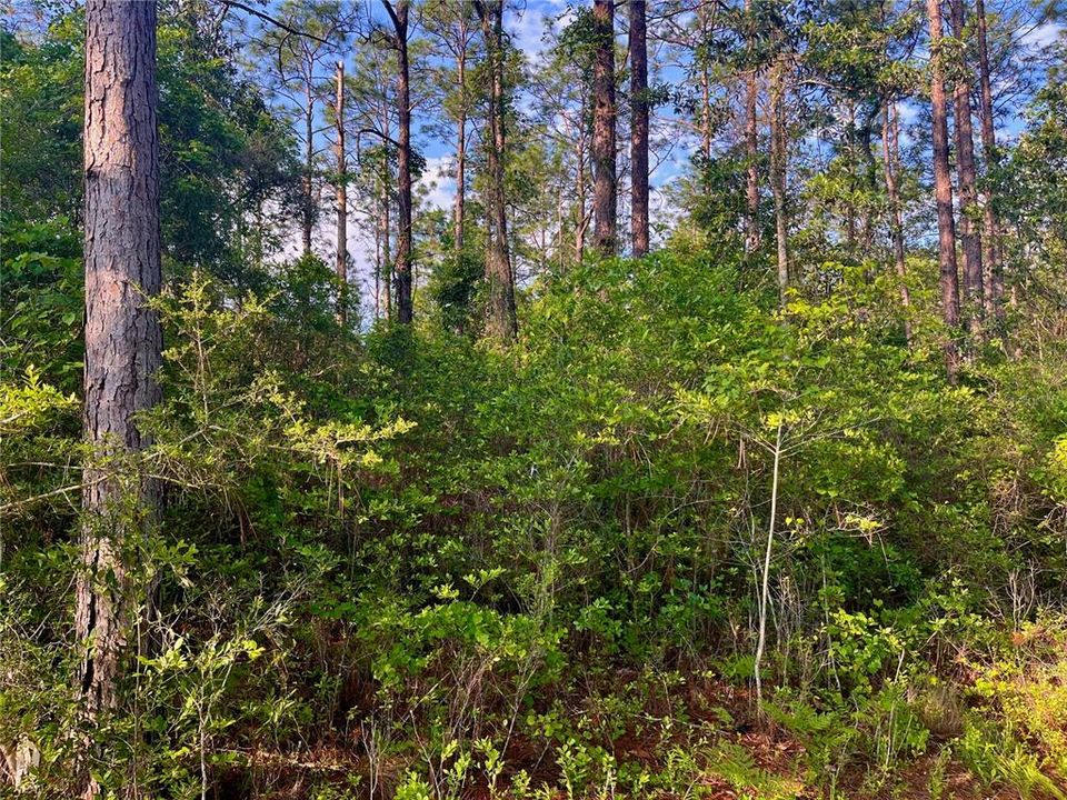 待售: $38,000 (0.94 acres)