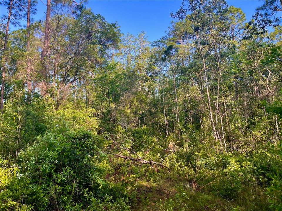 待售: $38,000 (0.94 acres)