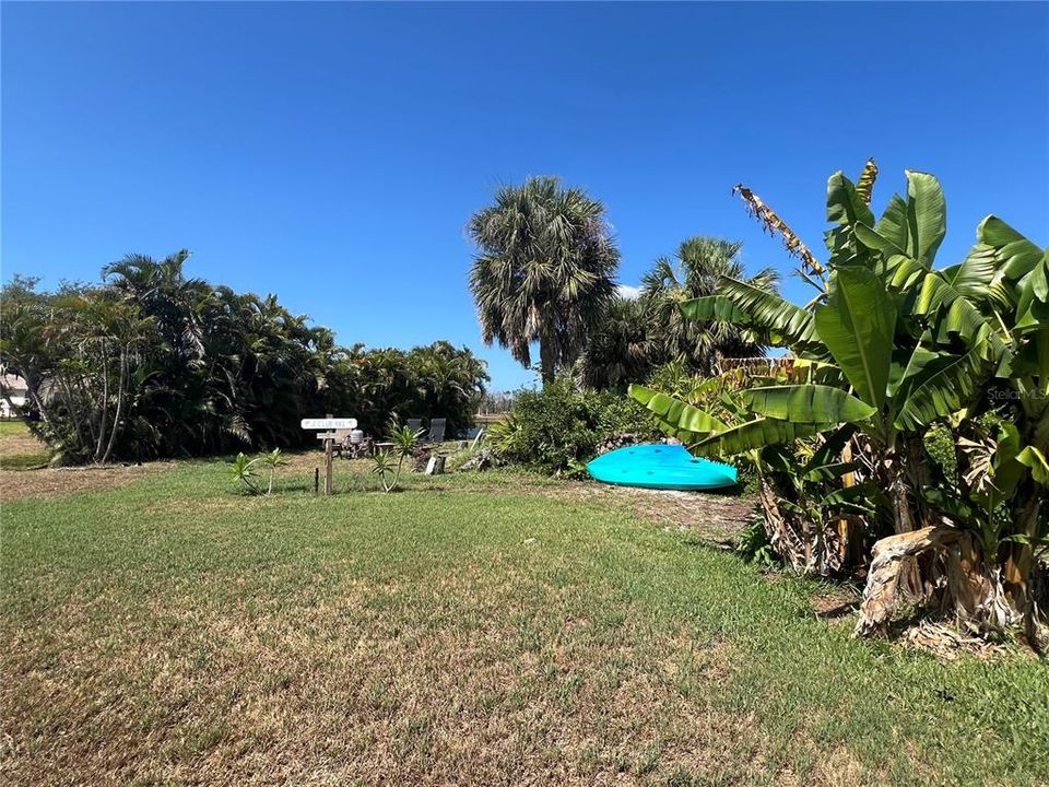 Banana trees and palm trees add to the tropical oasis that this lot is!