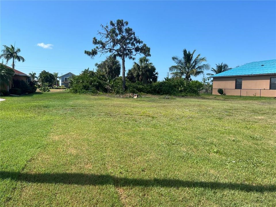 View of lot from the road