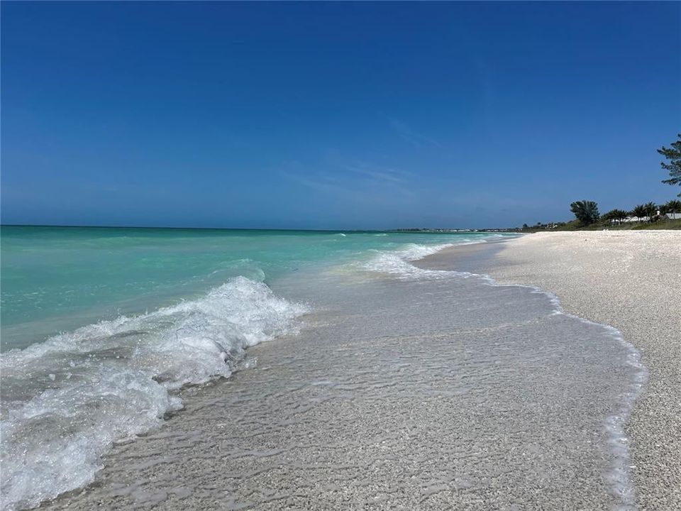 Boca Grande beaches are approx 20 minutes away!!