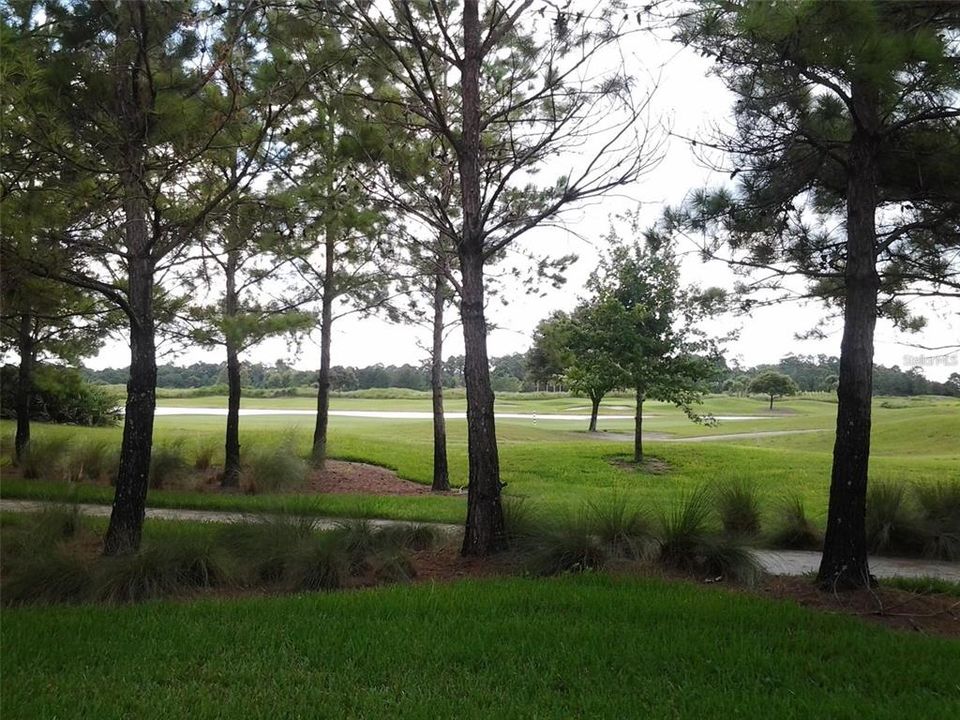 Harmony Preserve Golf Course - this is your view!