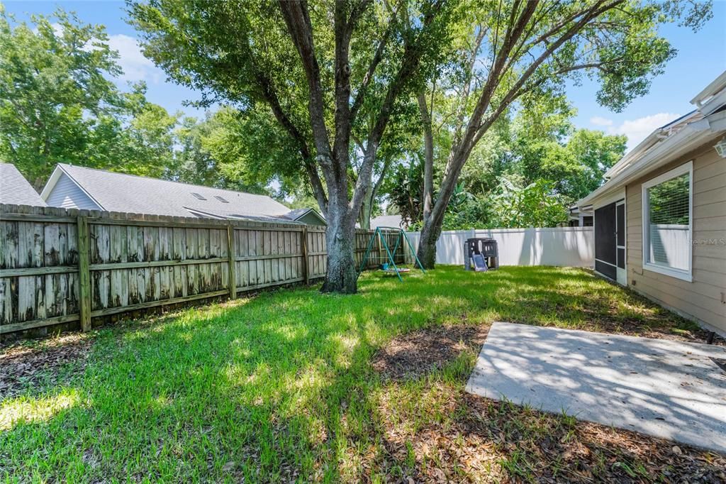 Backyard and Patio