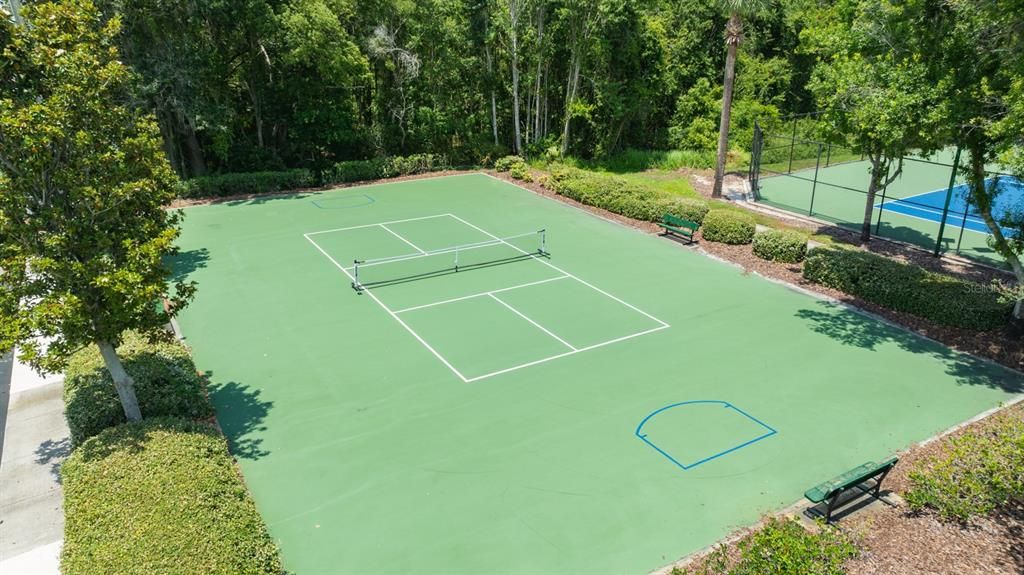 Pickleball Court