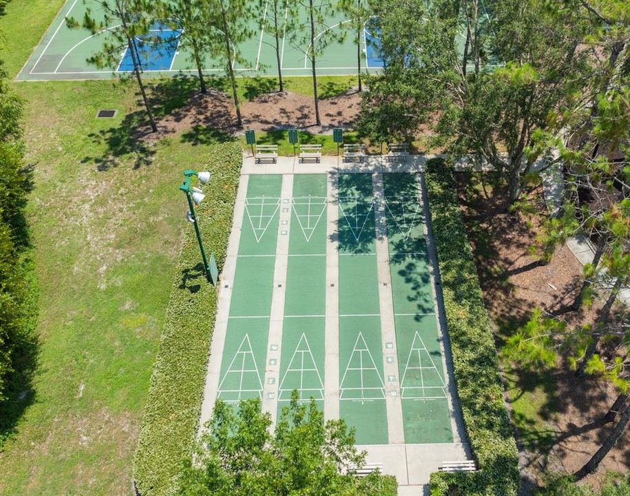 Shuffleboard Court