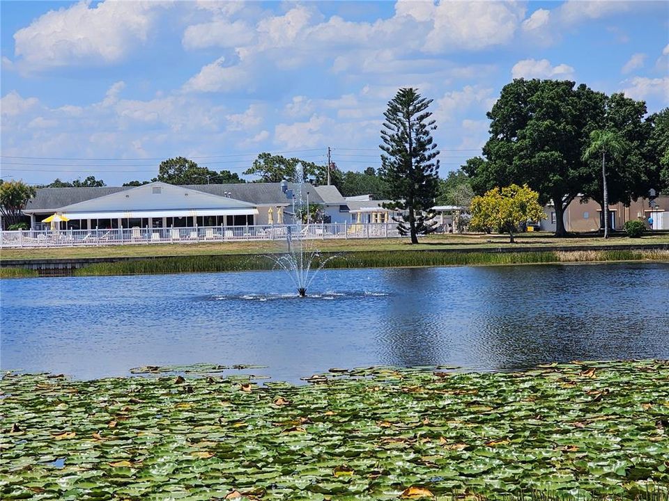 Park Like Grounds with Lake