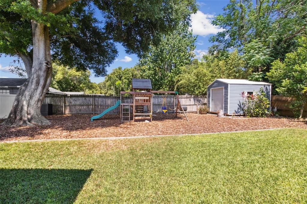 Backyard with play area