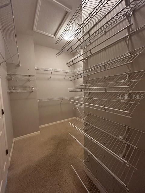 Master Closet in Walk-in with plenty of useful shelving