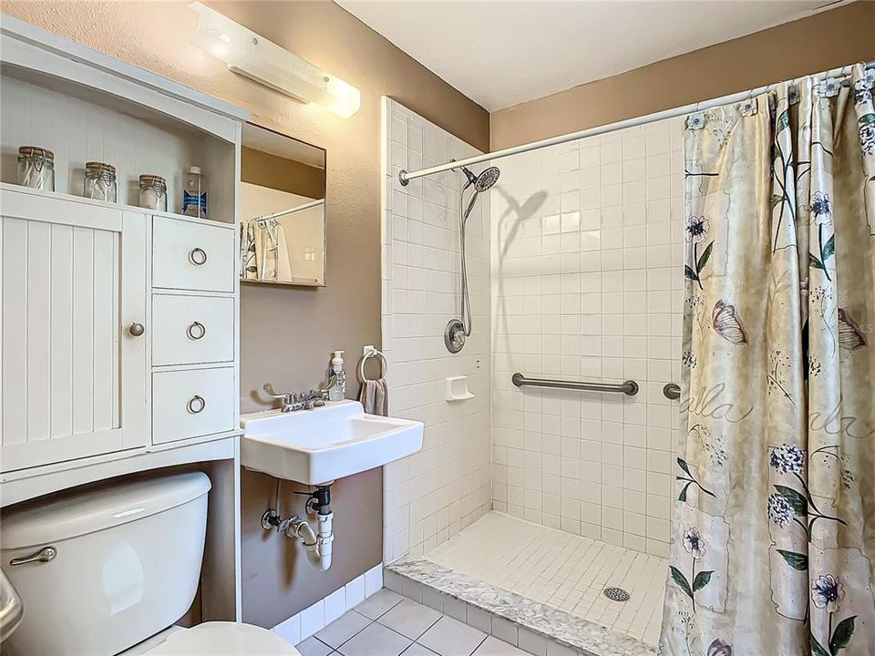 In-law suite bathroom