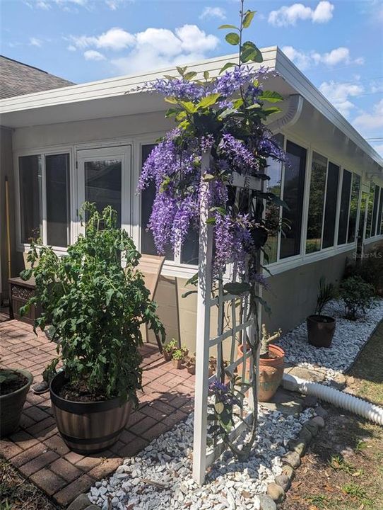 Left Side of Sunroom with door