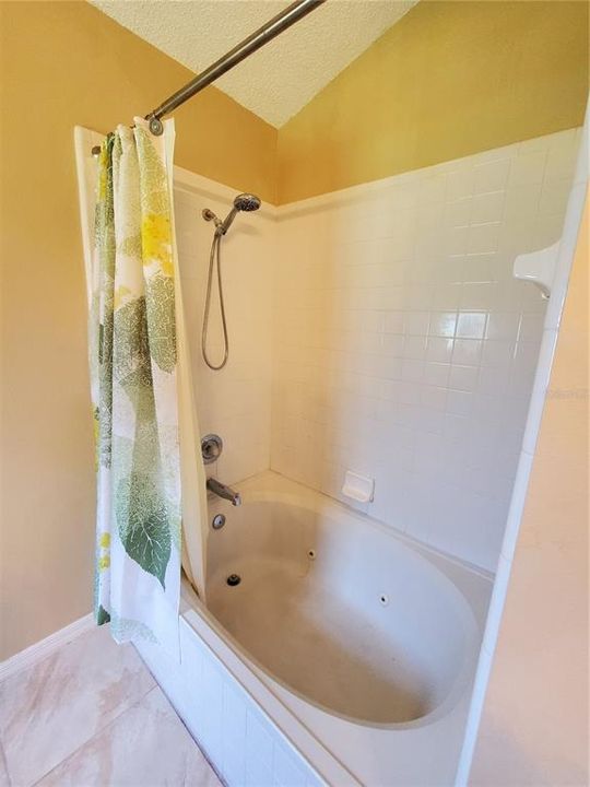 Primary Bathroom Shower and Bathtub