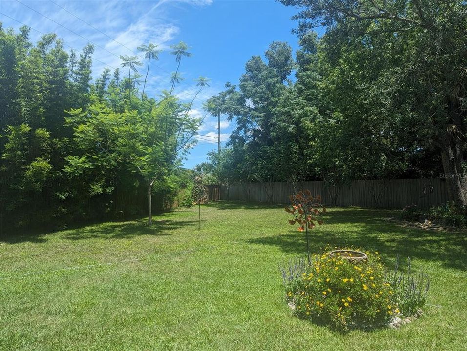 Left Side of Large Backyard