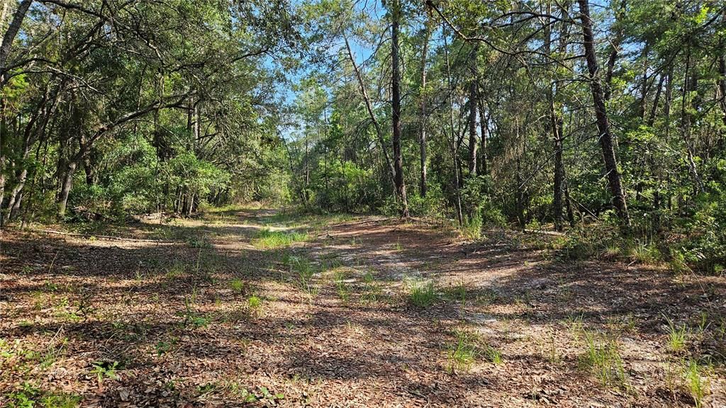 Recently Sold: $4,950 (0.23 acres)