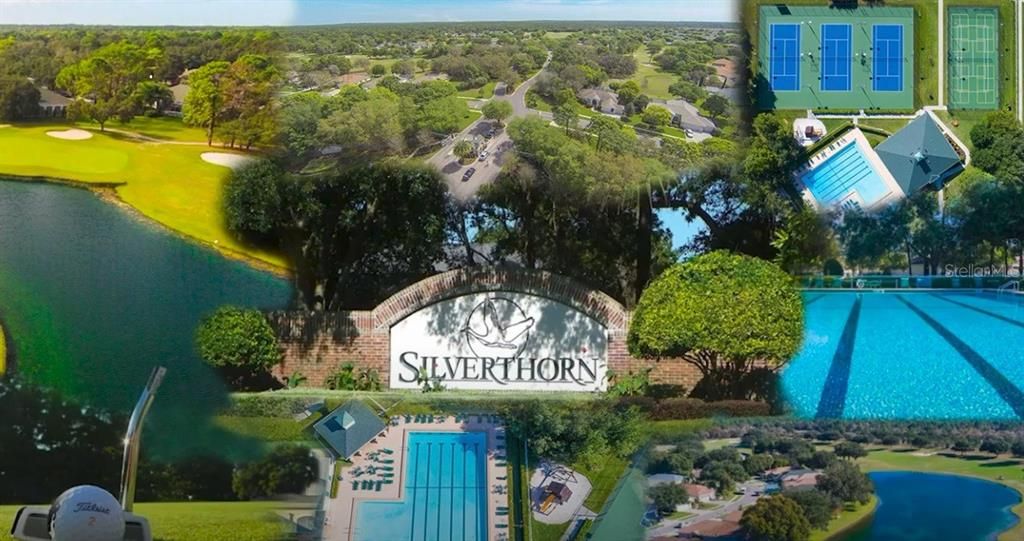 Welcome to Silverthorn!