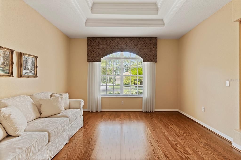 Living Room w/Coffered Trey Ceiling