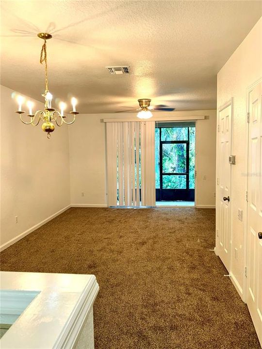 New living room/Dining room carpet.