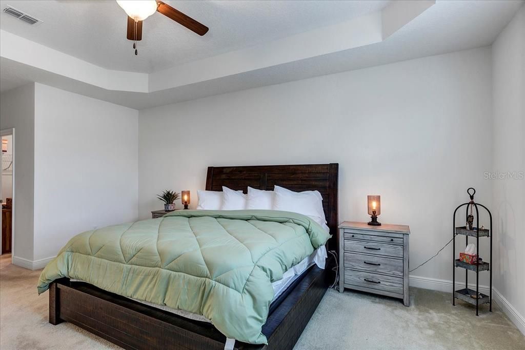 Primary Bedroow with Tray Ceiling