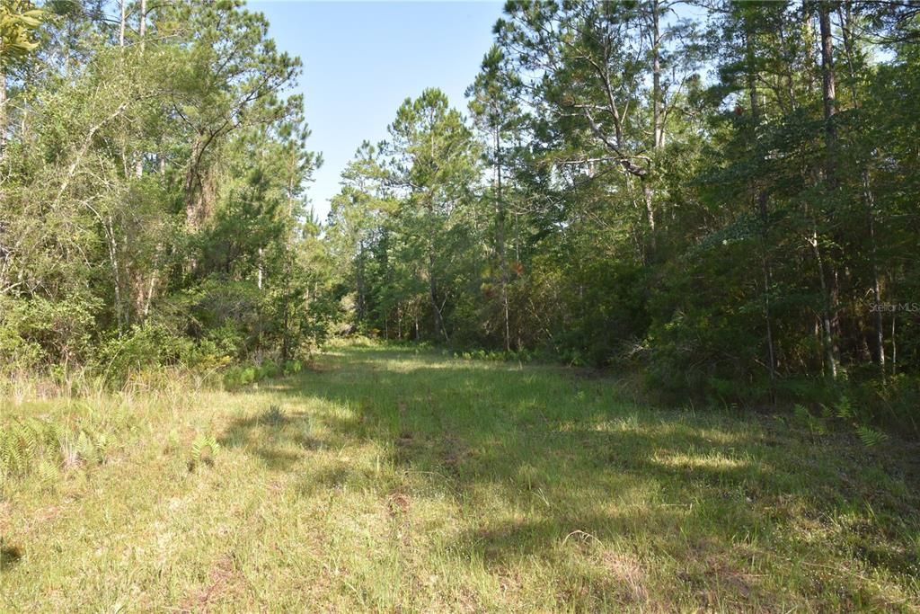 Recently Sold: $259,000 (40.00 acres)