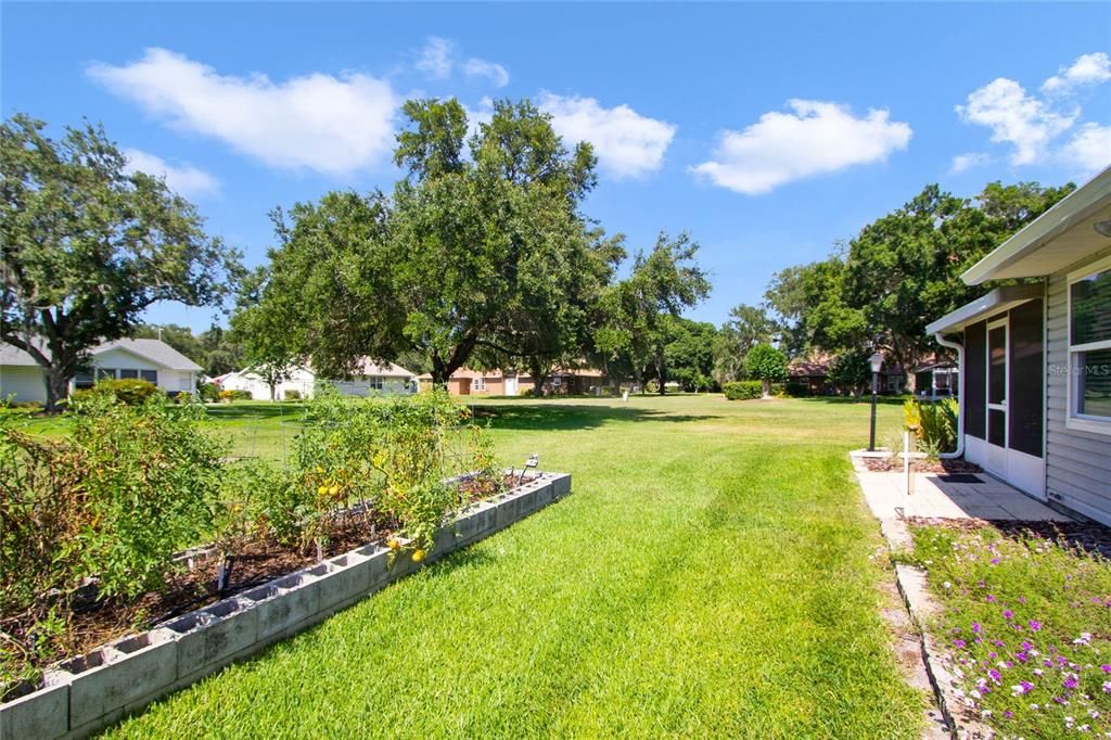 Large Backyard w/ Garden