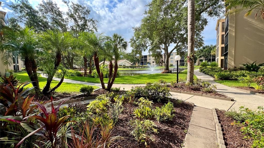 Fountain, pond view from your Lanai