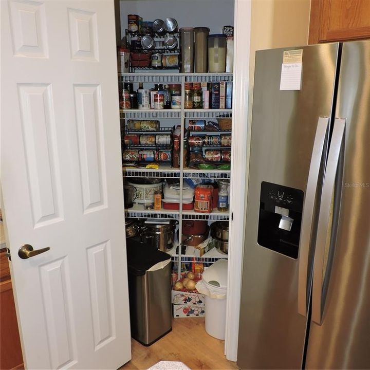 Kitchen Pantry #2