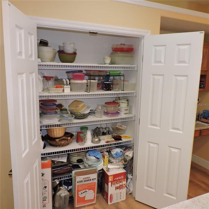 Kitchen Pantry #1