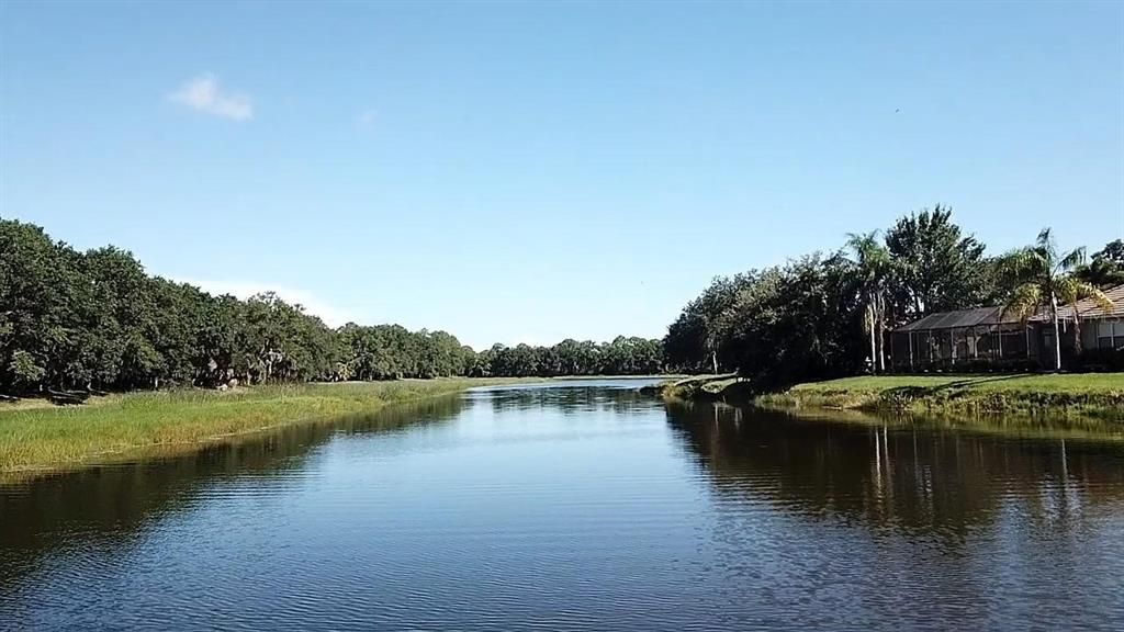 The Eastern shores of a vibrant large L shaped lake, with Oscar Scherer State Park located to the east, southeast, south. A section of the beloved Legacy Trail can be be viewed to the left shaded by the tree canopy.