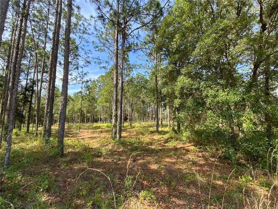 Recently Sold: $79,900 (5.00 acres)