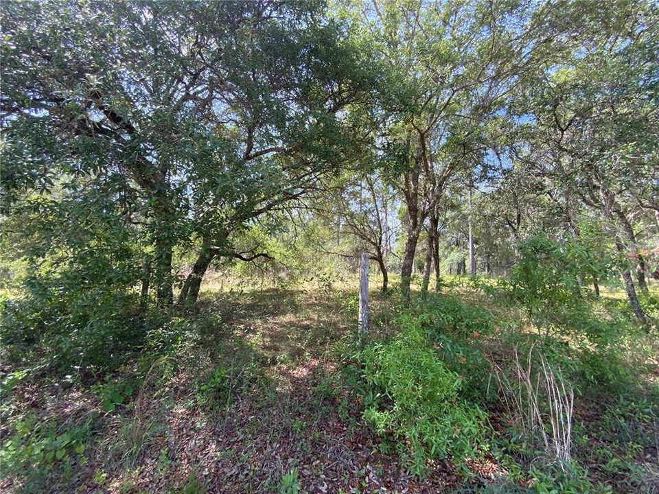 Recently Sold: $79,900 (5.00 acres)