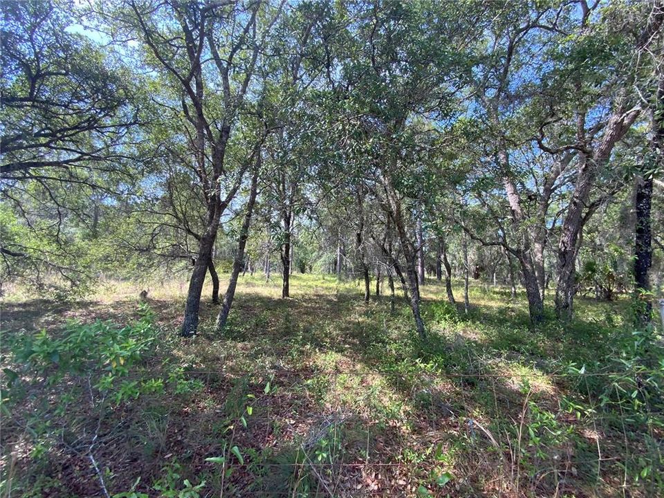 Recently Sold: $79,900 (5.00 acres)