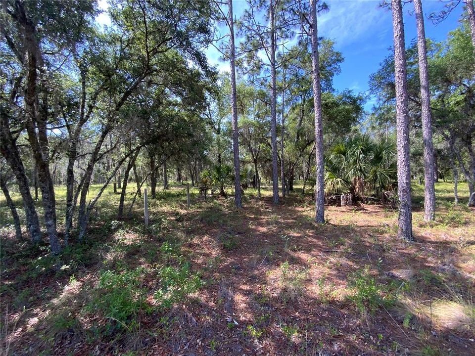 Recently Sold: $79,900 (5.00 acres)