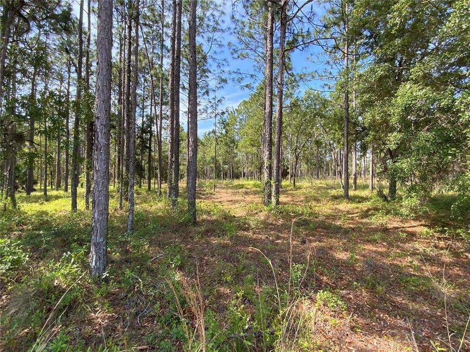 Recently Sold: $79,900 (5.00 acres)