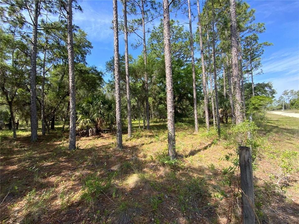 Recently Sold: $79,900 (5.00 acres)