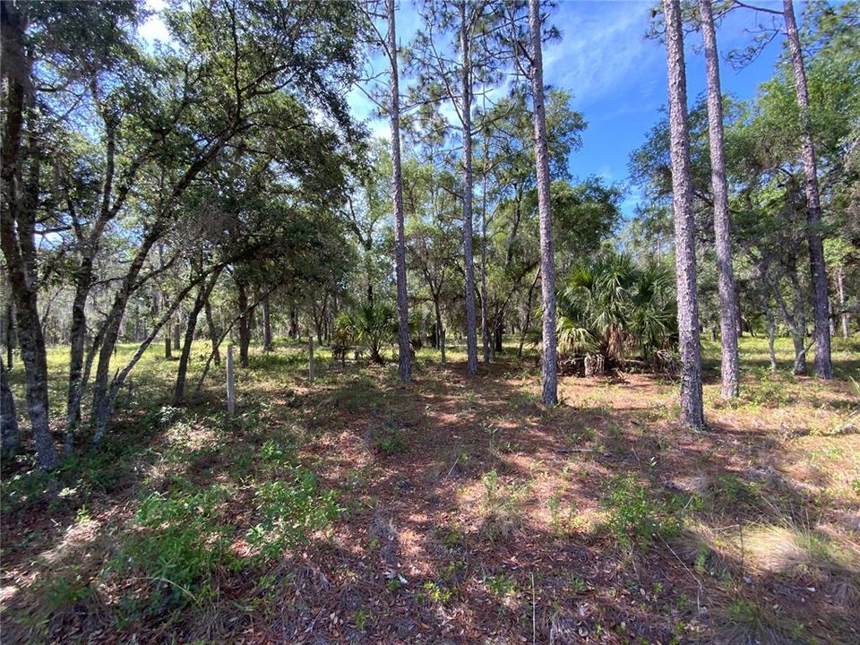 Recently Sold: $79,900 (5.00 acres)