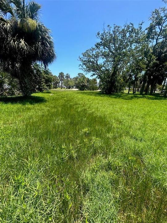 View from back of lot looking toward Palmetto Street