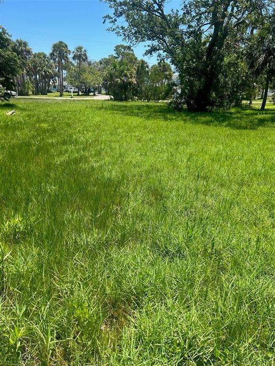 Eagleview of Sunshine Park to the vacant lot on Palmetto