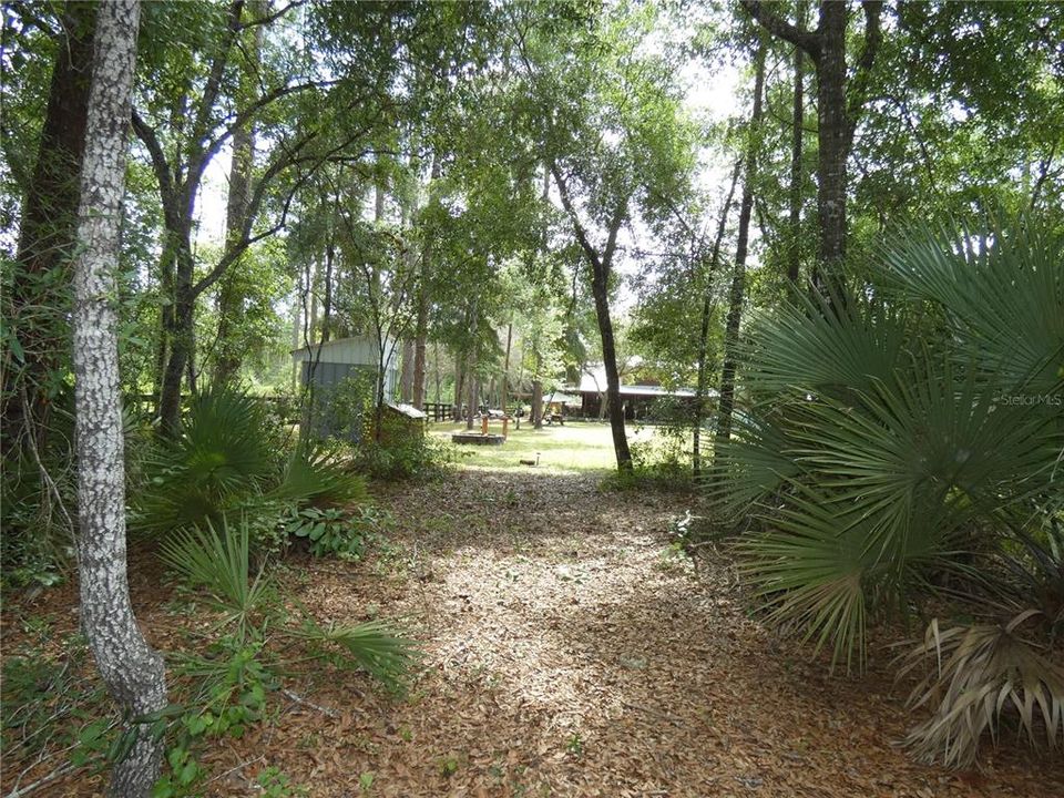 View from 2nd lot towards the home.  This is the location of the bear and dear feeders.