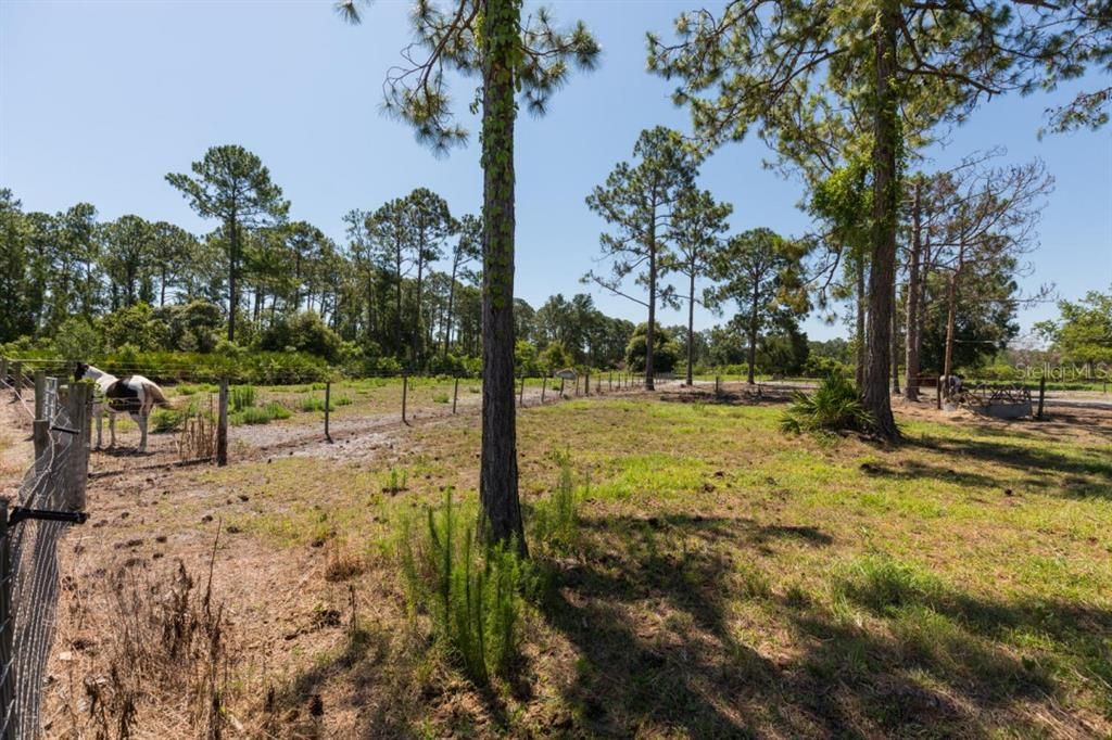 For Sale: $399,500 (5.53 acres)