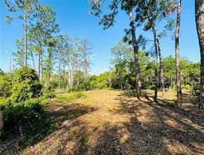 Recently Sold: $79,900 (1.02 acres)