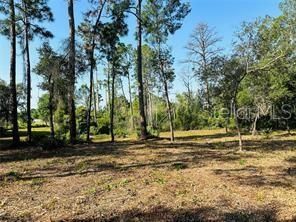 Recently Sold: $79,900 (1.02 acres)