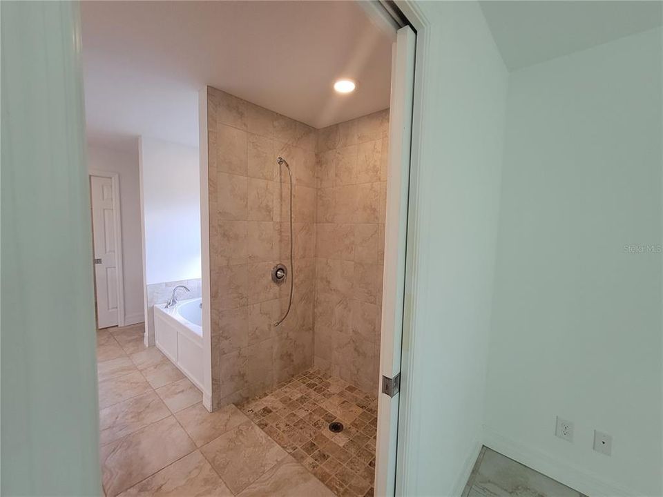 Primary Bathroom Walk-in  Shower