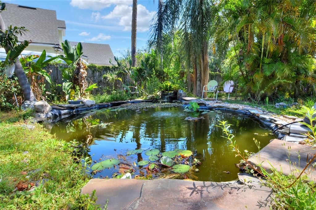 Custom fish pond with fountain