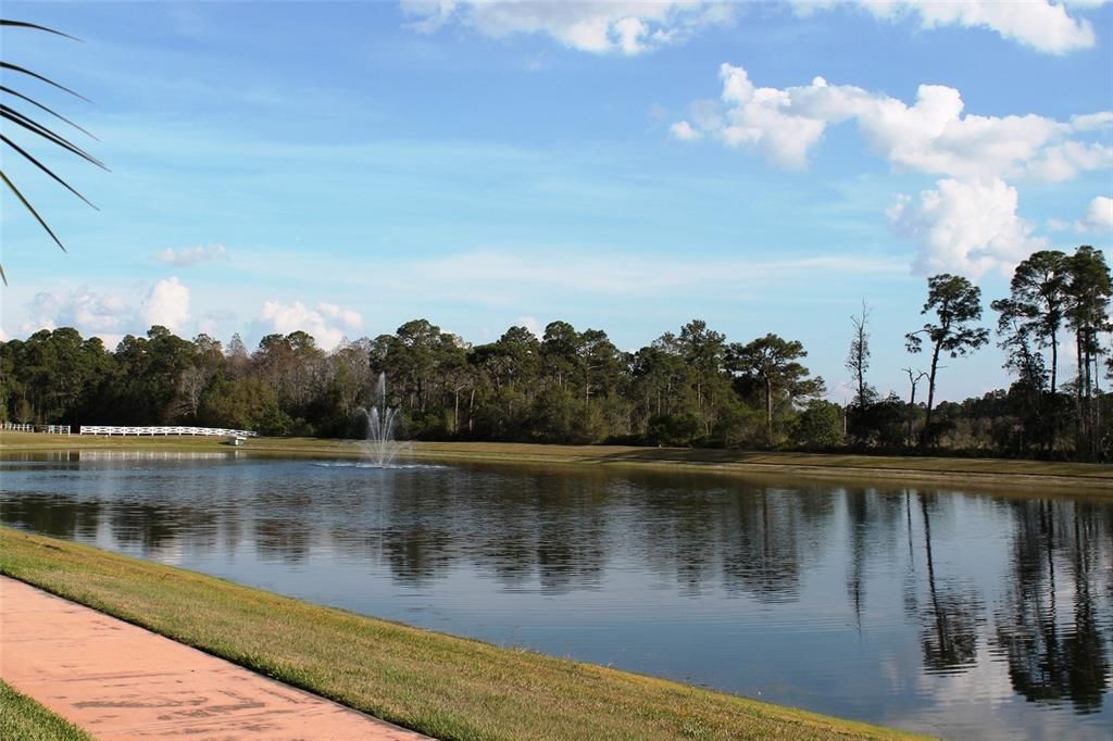 Enjoy a the pond view during the day...